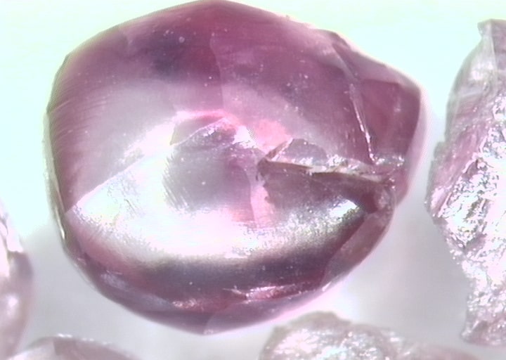 Pink diamond recovered by Orogenic Exploration Pty Ltd from 
Timber Creek Kimberlite, Norther Territory Australia.